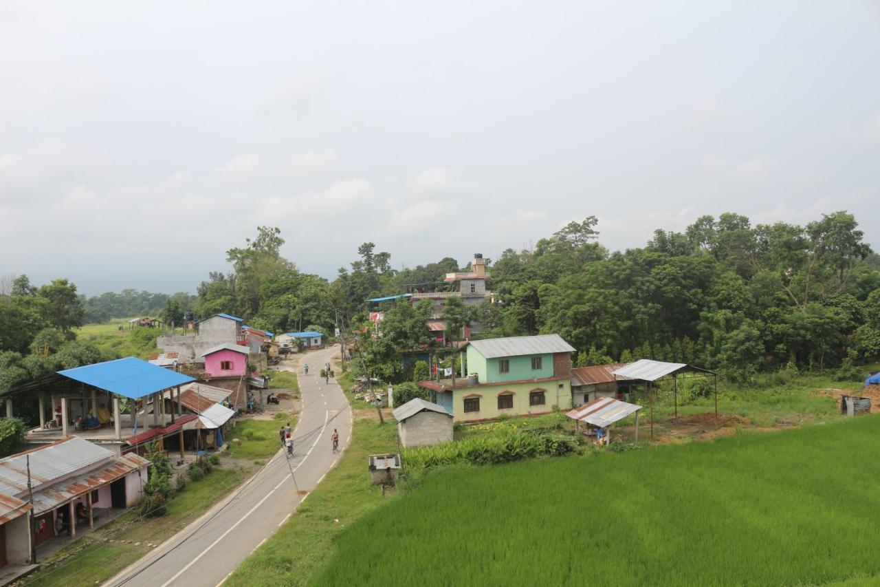 Tiger Corner Inn Homestay Sauraha Extérieur photo