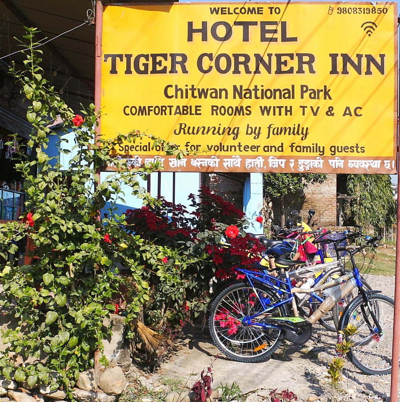 Tiger Corner Inn Homestay Sauraha Extérieur photo